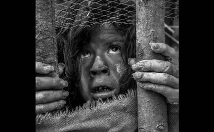 Feral, el falso documental que muestra que la vida salvaje no es como en Tarzán