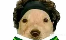 El final de la FIFA y el retiro de Guillermo Ochoa, en los memes de la semana
