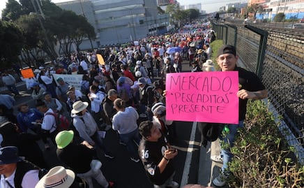 Locatarios marchan al Zócalo; exigen destitución de titular de Sedeco