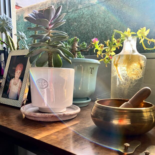 Las fotos y los cuadros junto a los grandes ventales del departamento de Rebecca Jones. Foto: Instagram @la_rebeccajones