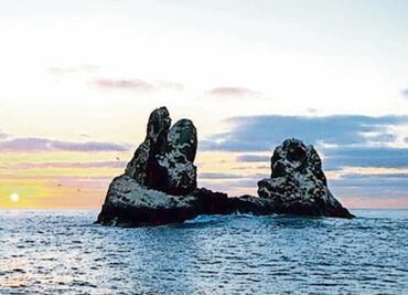 Realizan monitoreo en parque Revillagigedo