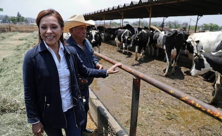 Vázquez Mota presenta 3de3; dice ganar 12.2 mdp al año