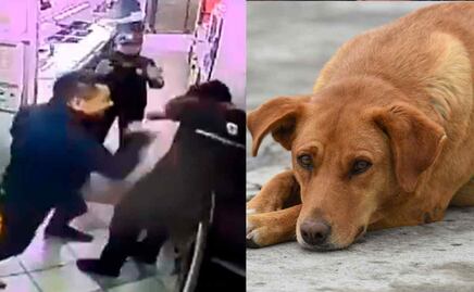 Denuncian a atacante de empleado de Subway en SLP por moler a golpes a un perro