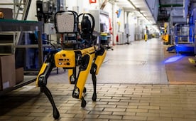 ICE planea invertir 2 mdd en perros robot; podrán ser operados a distancia para misiones autónomas