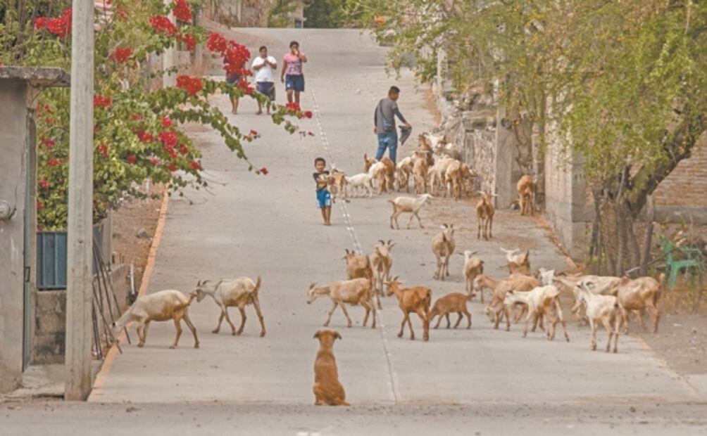 Pueblo de Guerrero, lejos del coronavirus y cerca del abandono