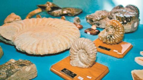 Nuevo León abre el camino a la venta de fósiles