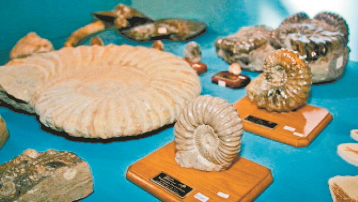 La propuesta cataloga a las piezas como “grabados inusuales en piedra caliza”. Foto: ARCHIVO EL UNIVERSAL