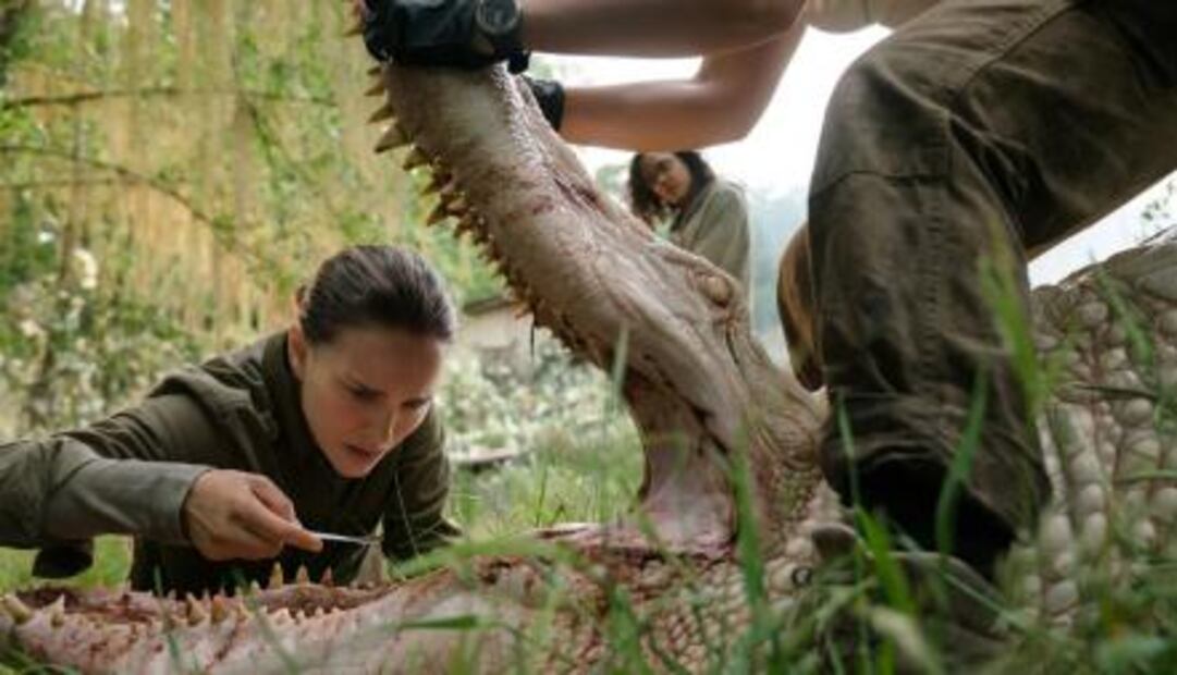 Los estrenos de Netflix en marzo