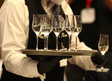 Sotol, un destilado mexicano por conocer