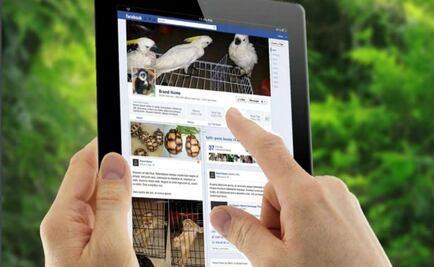 Utilizan Facebook para el contrabando de animales