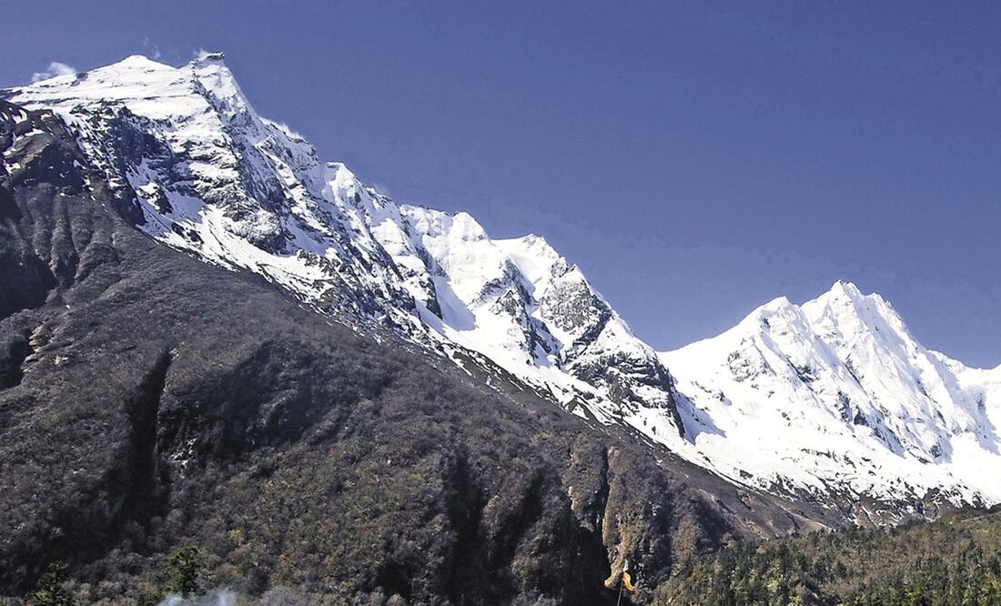 Foto: Archivo EL UNIVERSAL