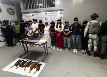 Recuperan 17 inmuebles en Ecatepec que tenían denuncia por despojo y detienen a 12 personas; descubren Call Center ilegal