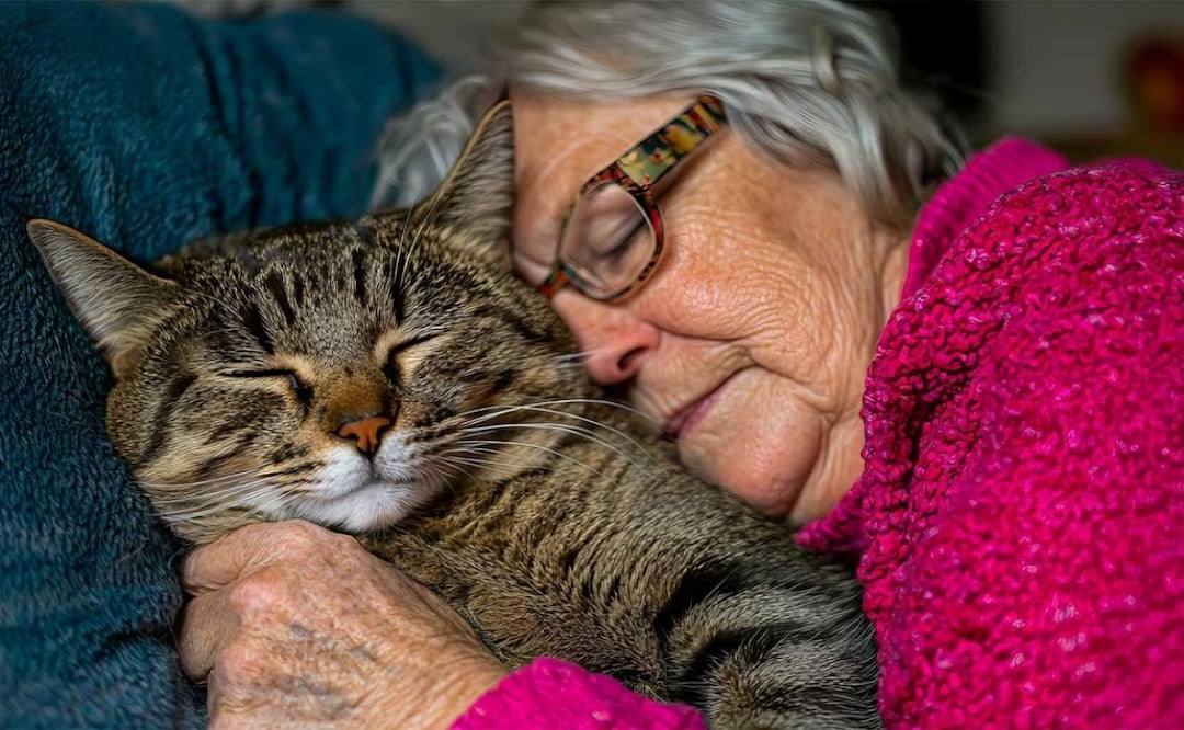 Acariciar gatitos reduce el estrés en las personas (11/04/2026). Foto: Especial