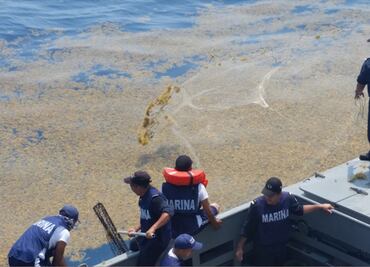 AMLO: Con la intervención de la Marina ya se resolvió el problema del sargazo en la Rivera Maya