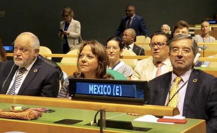 México, a favor de cooperación internacional por migración: De la Fuente