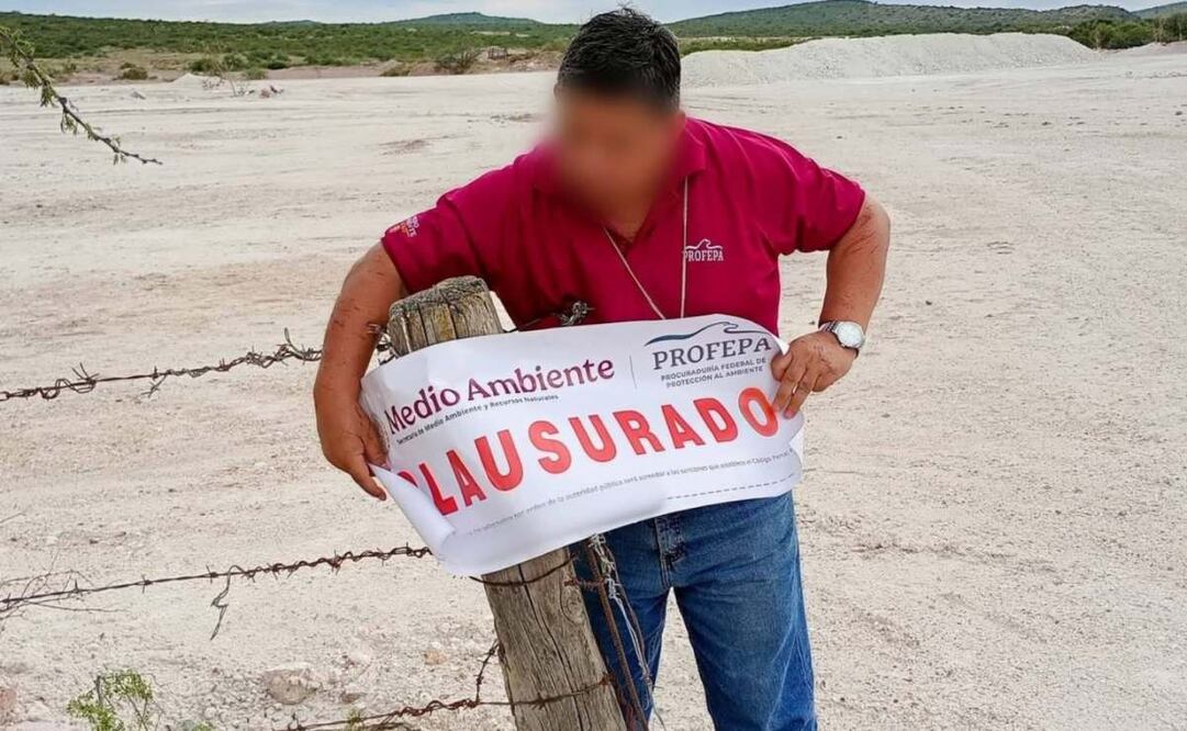 Menonitas devastaron zonas de vegetación nativa en Yucatán. PROFEPA clausura obras.
Foto: Especial.