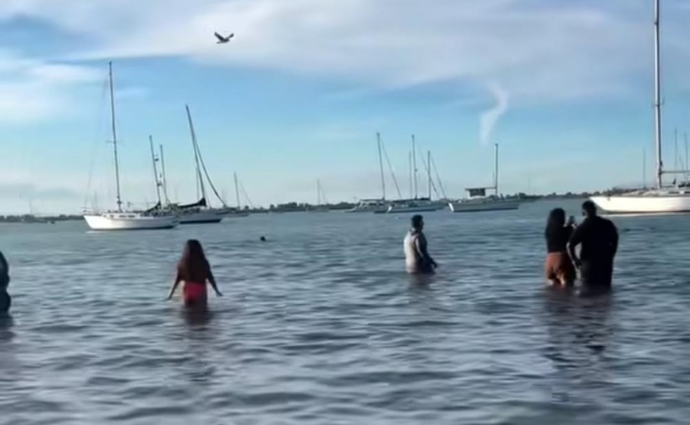 Ciudadanos rescatan delfines varados en el malecón de La Paz,BCS; cuerpos de emergencia rescatan a joven en el Cerro Atravesado.
Foto: Especial.