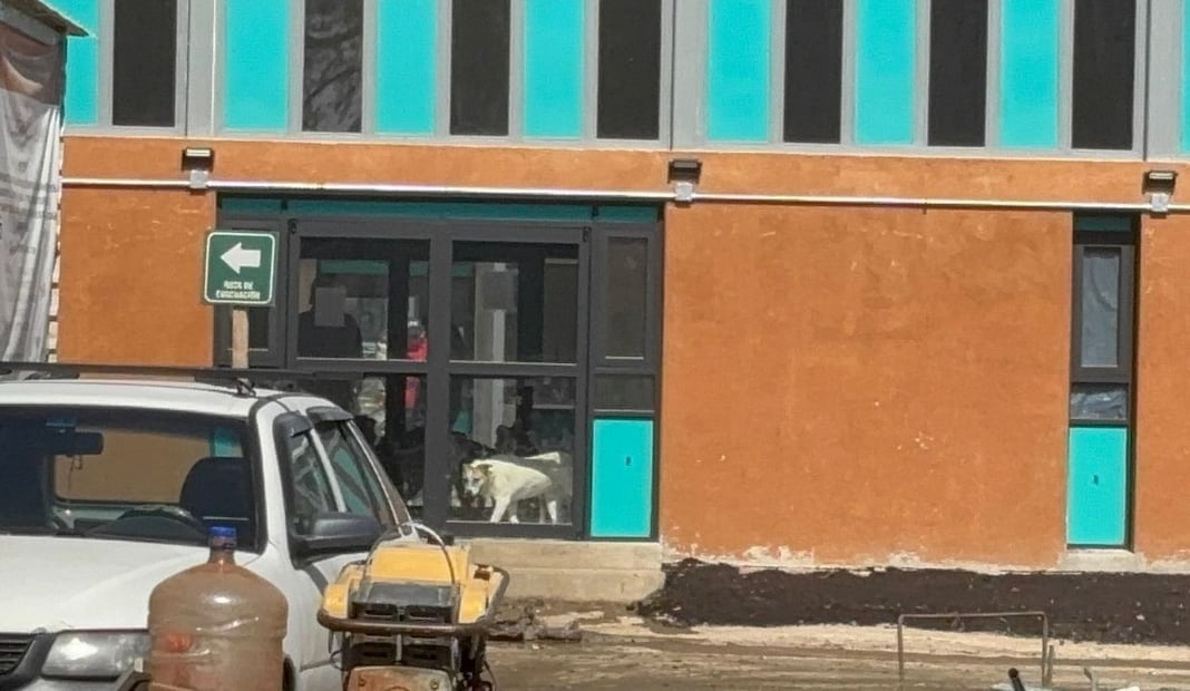 Bloquean Deportivo Hermanos Galeana; activistas denuncian presunto maltrato animal. Foto: Juan Carlos Williams