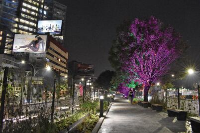 Así es Ecoducto, el parque sobre el camellón del Viaducto