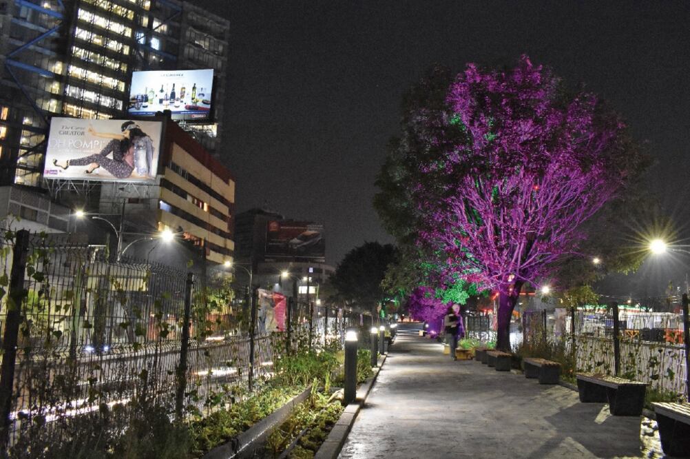 El área de esparcimiento tiene 1.6 kilómetros de largo, 110 bancas, 15 techumbres para resguardarse del calor, 31 reflectores para la iluminación de la vegetación y 48 conexiones para cargar aparatos electrónicos. (ESPECIAL)