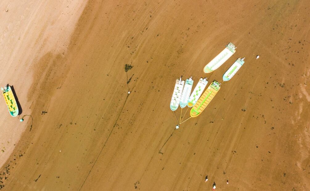 Foto: Damián Sánchez / Cuartoscuro.com