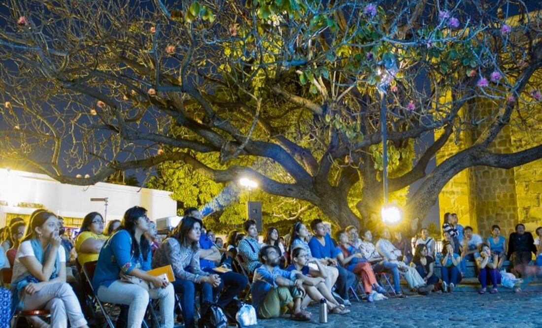 Durante los 94 días del festival se programaron actividades en 210 sedes y se llevaron a cabo 120 funciones al aire libre. FOTO: Tomada de ambulante.com.mx