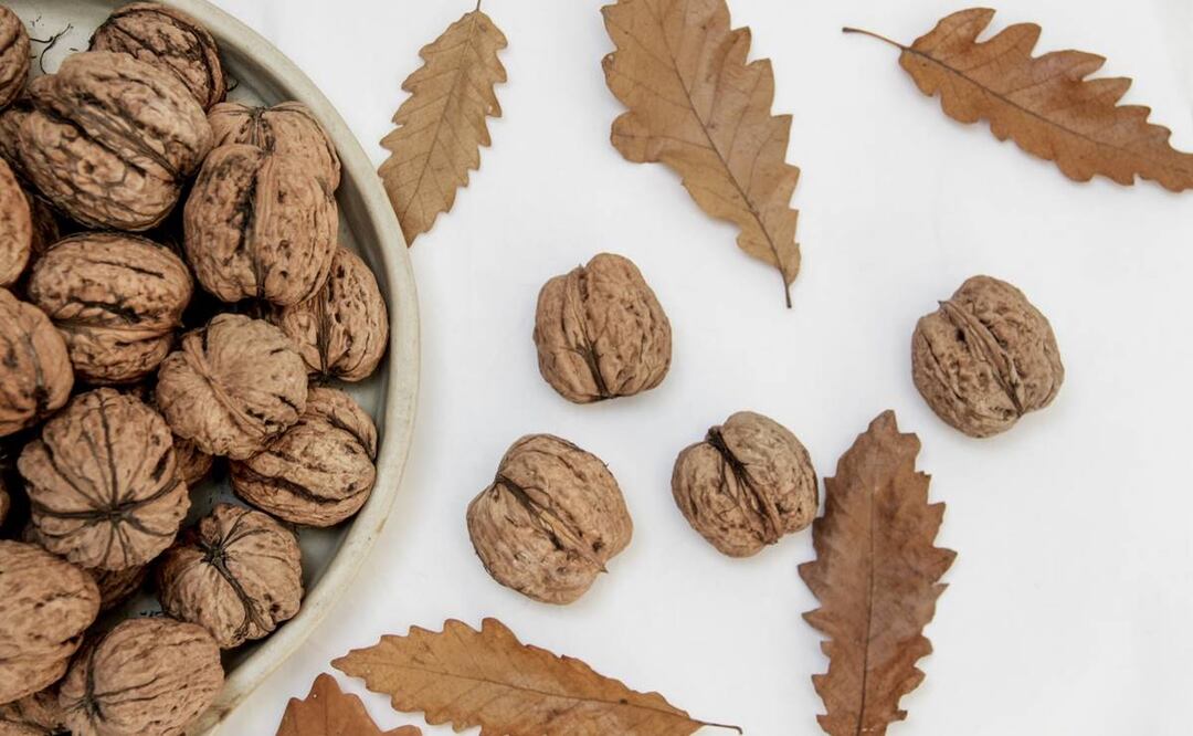 Foto: Right Light / Pexels