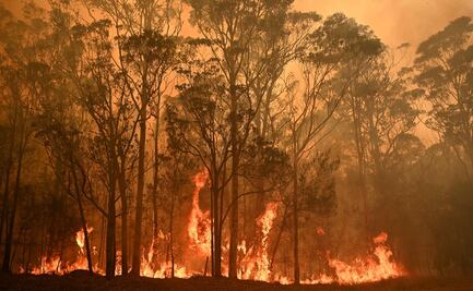 Más de 200 incendios activos han dejado al menos 23 muertos en Australia 
