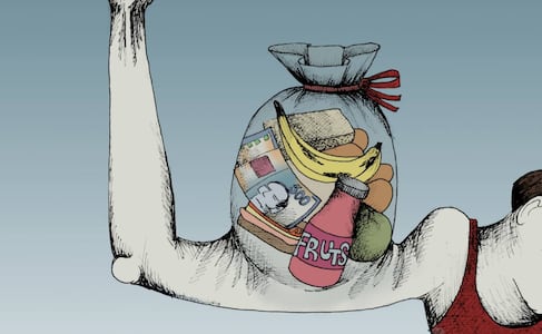 La fuerza del acarreo