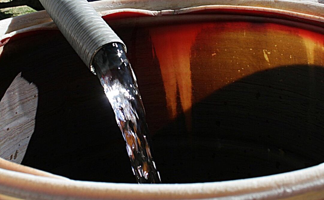 Foto: Archivo | EL UNIVERSAL