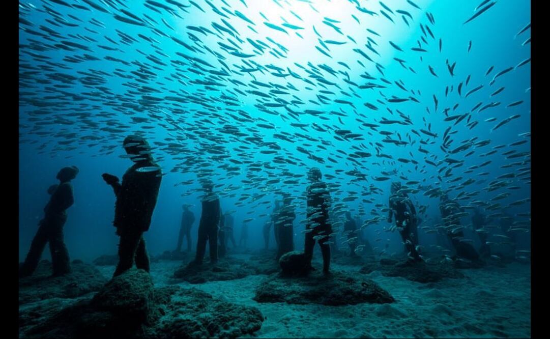 Foto: Facebook / Museo Atlántico