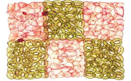 Food Art Week México presenta la exposición "Azúcar"