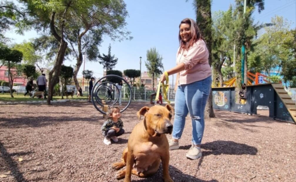¿No tienes plan? Visita el parque de Súper Mario Bros en la CDMX