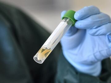 Instalan módulos para tomar pruebas antiCovid a pasajeros de vuelos internacionales en NL