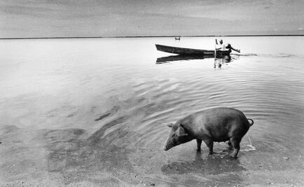 Fotografía desde distintas latitudes, en la Roma