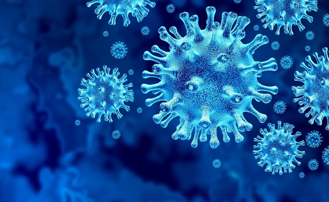 Todo parece indicar que las personas podrían generar anticuerpos hasta 11 meses después de la infección - Foto: Archivo