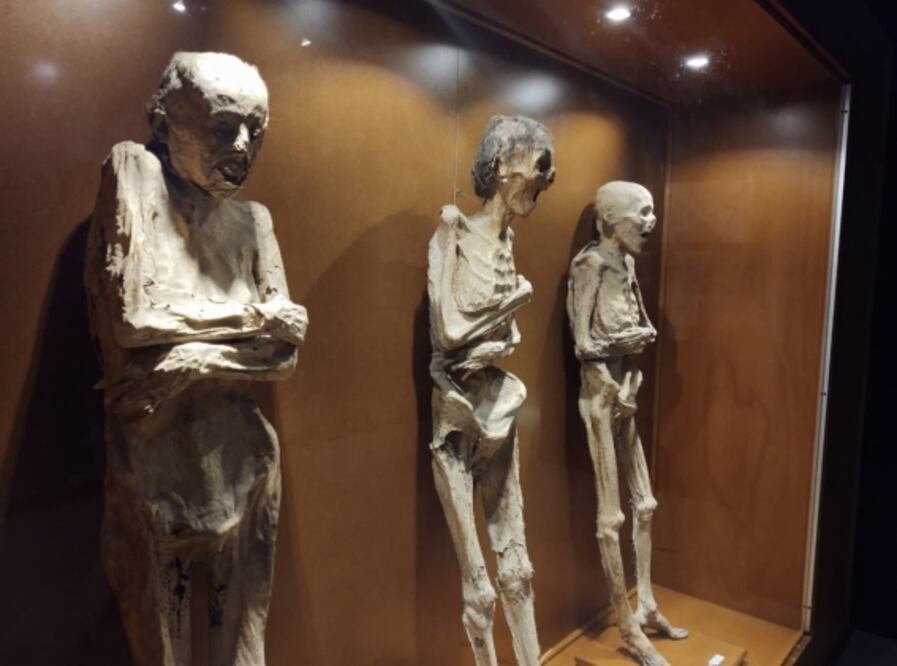 Museo de las Momias de Guanajuato