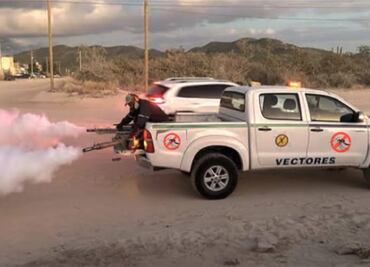 Dengue aumenta en Baja California Sur; hay más de 2 mil casos confirmados