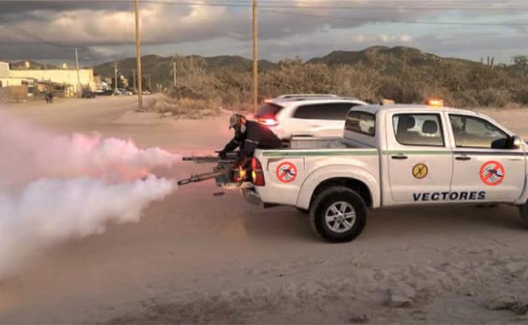 Los casos de dengue aumentan en Baja California Sur (13/11/2024). Foto: Especial