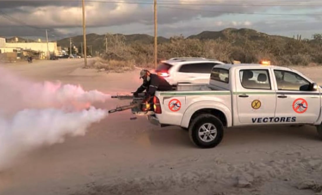Los casos de dengue aumentan en Baja California Sur (13/11/2024). Foto: Especial