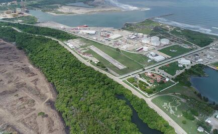 Denunciarán penalmente tala ilegal de manglares para refinería en Tabasco