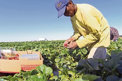 Cambio en Casa Blanca modificará migración: expertos