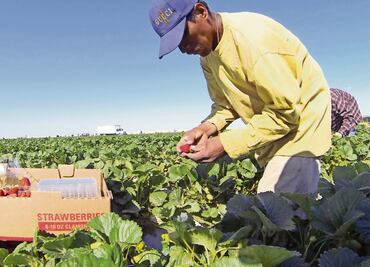 Cambio en Casa Blanca modificará migración: expertos