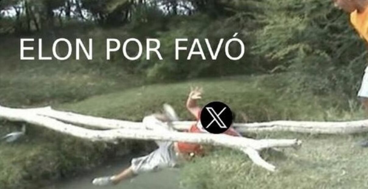 Memes de la caída de X. Foto: Redes sociales