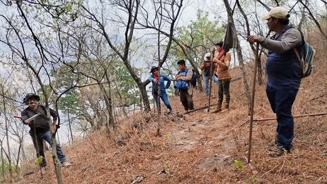 Cuatro estados combaten incendios forestales