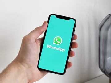 ¿Se pueden recuperar las fotos de visualización única en WhatsApp?