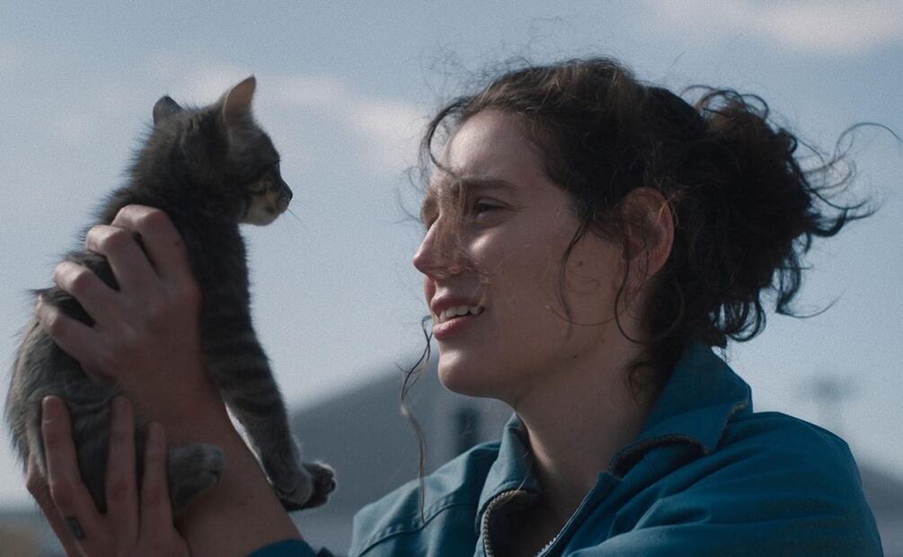 Le pasó algo malo a Agnes. Pero la vida continúa, al menos para todos los que la rodean. 
FOTO: Especial.