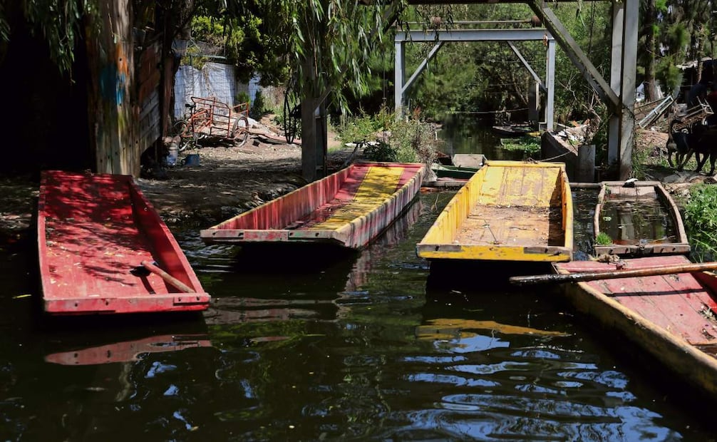 Los colores que adornan cada trajinera responden a una tradición que se
mantiene hasta hoy. Foto: Fernanda Rojas
