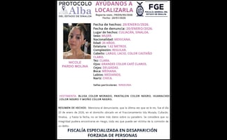 Emiten ficha de búsqueda por la tiktoker "Nicholette", levantada por hombres armados en Culiacán; su Cybertruck grabó el secuestro