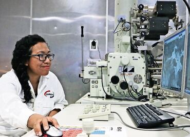 Adapting to the labor market